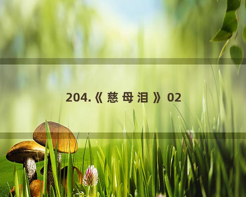 204.《慈母泪》02