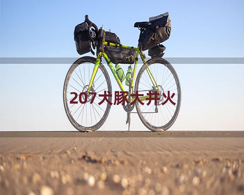 207犬豚大并火