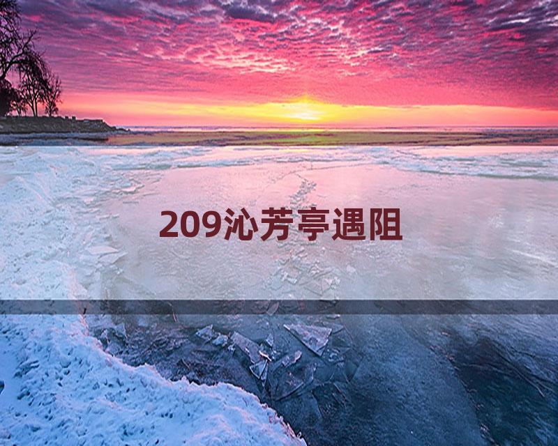 209沁芳亭遇阻