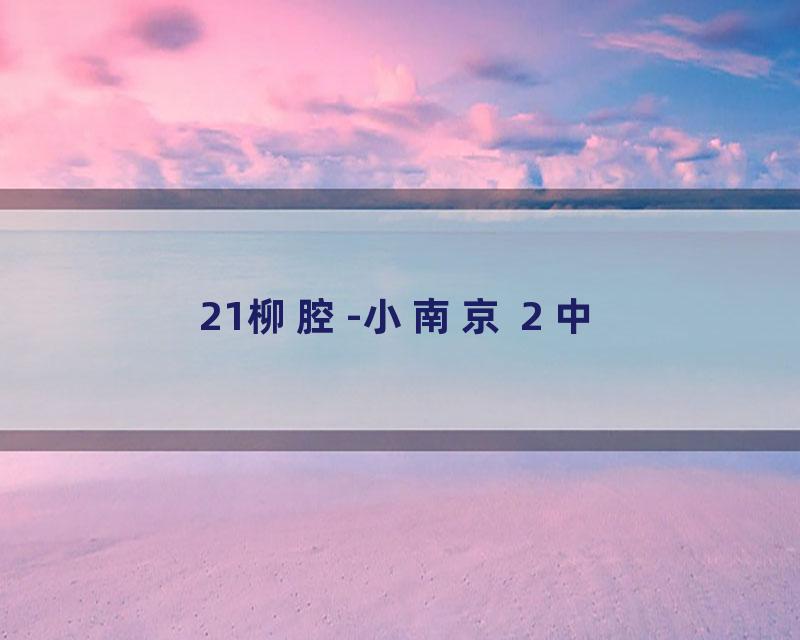 21柳腔-小南京 2 中