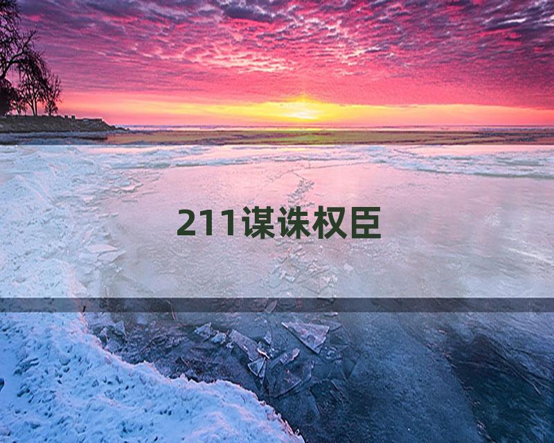 211谋诛权臣