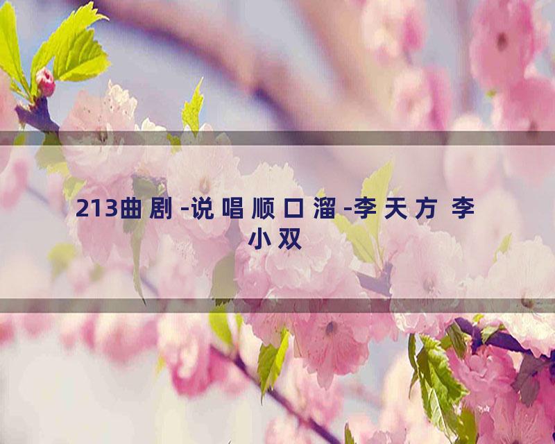 213曲剧-说唱顺口溜-李天方 李小双