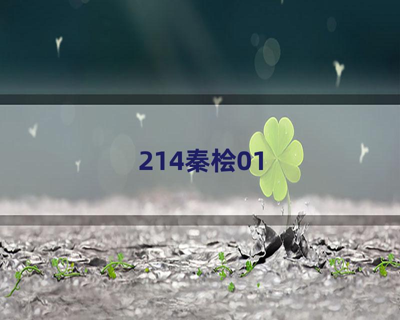 214秦桧01