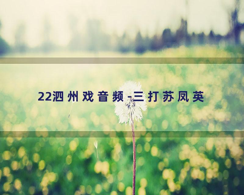 22泗州戏音频-三打苏凤英