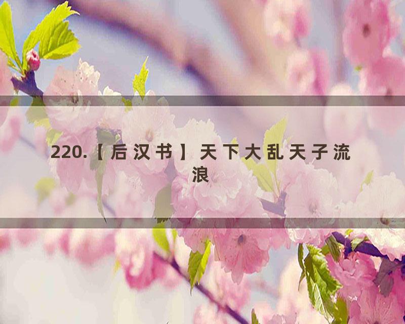 220.【后汉书】天下大乱天子流浪