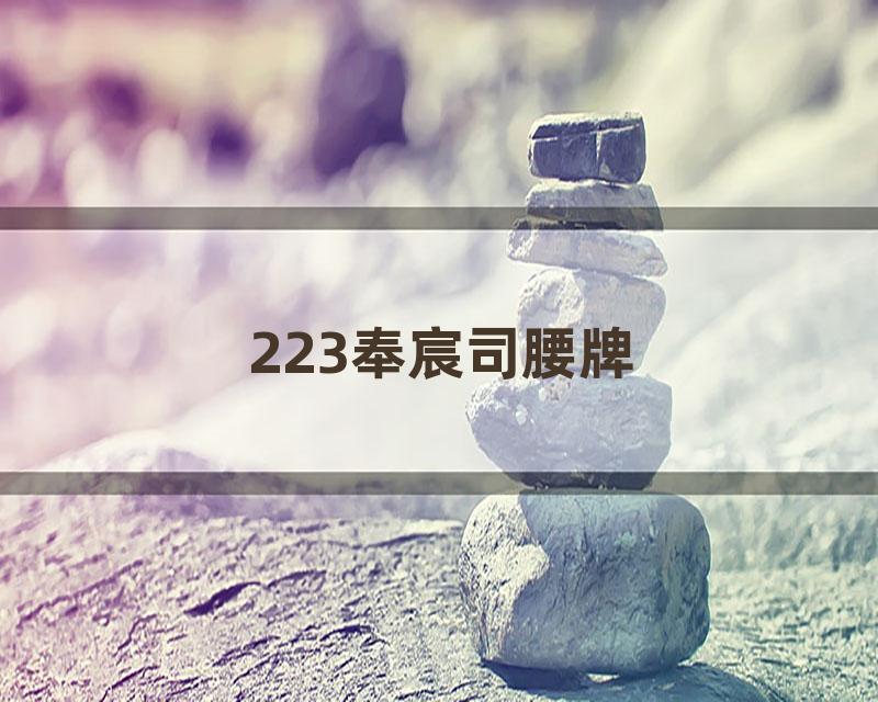 223奉宸司腰牌