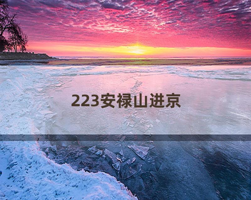 223安禄山进京