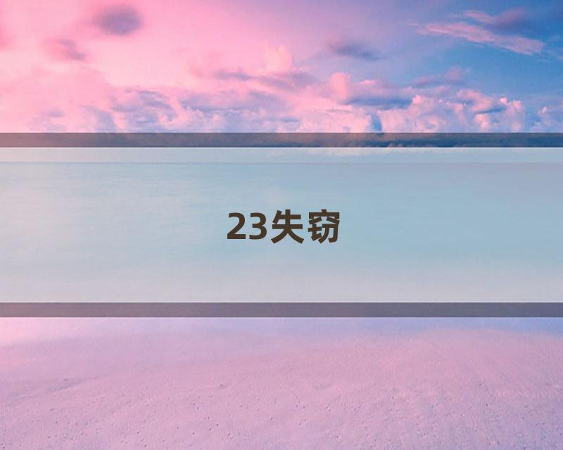 23失窃