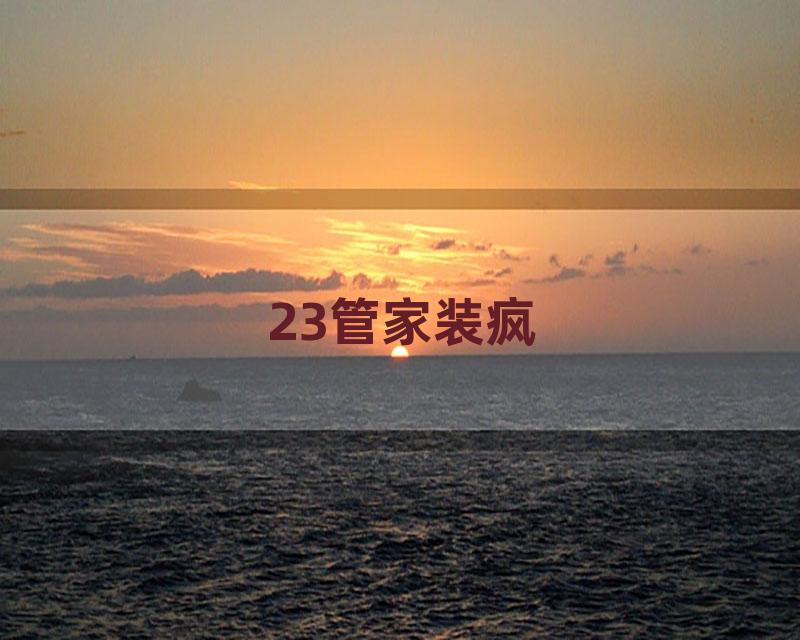 23管家装疯