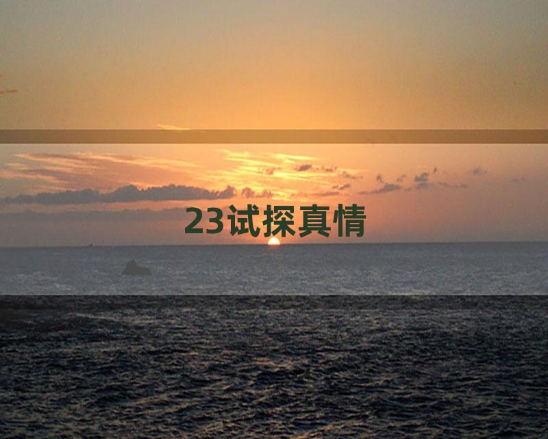 23试探真情