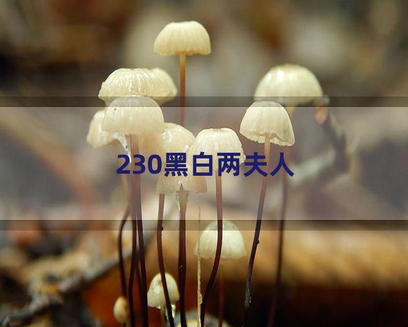 230黑白两夫人