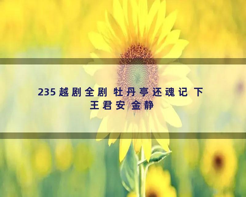 235 越剧全剧 牡丹亭还魂记 下 王君安 金静