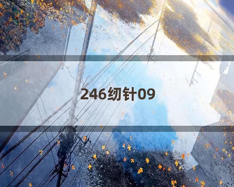 246纫针09