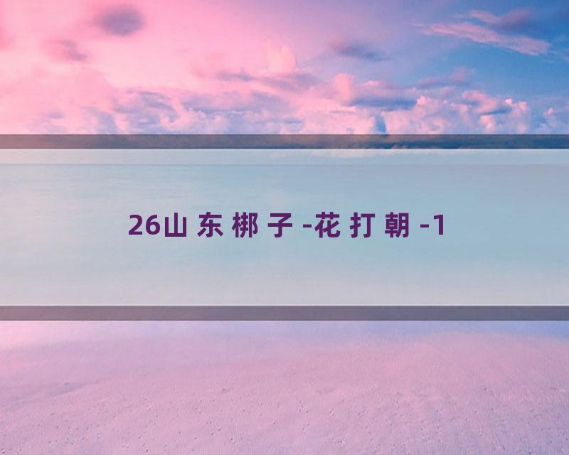 26山东梆子-花打朝-1