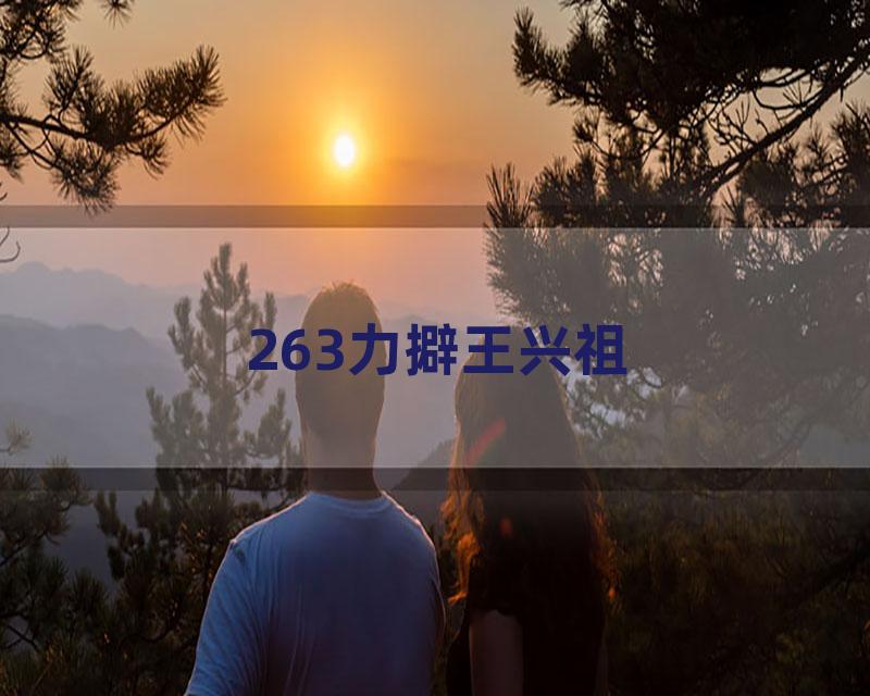 263力擗王兴祖