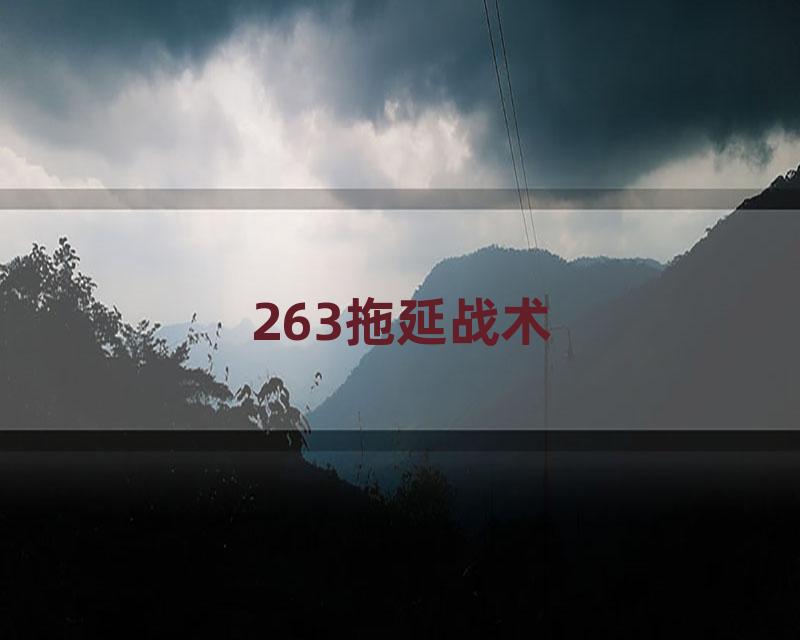 263拖延战术