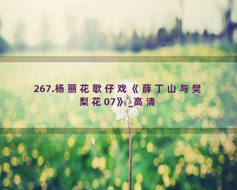 267.杨丽花歌仔戏《薛丁山与樊梨花07》_高清