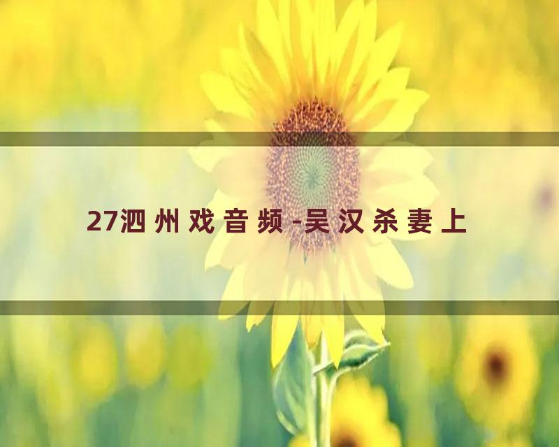 27泗州戏音频-吴汉杀妻上