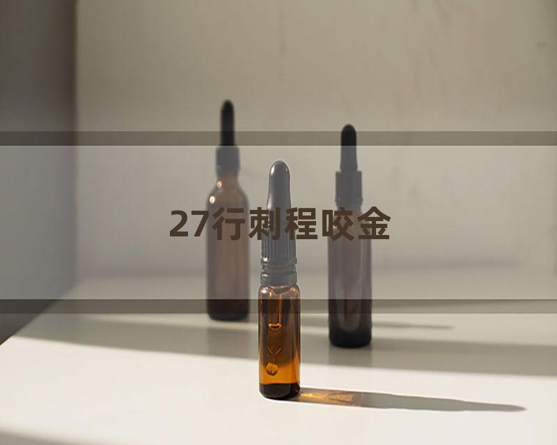 27行刺程咬金