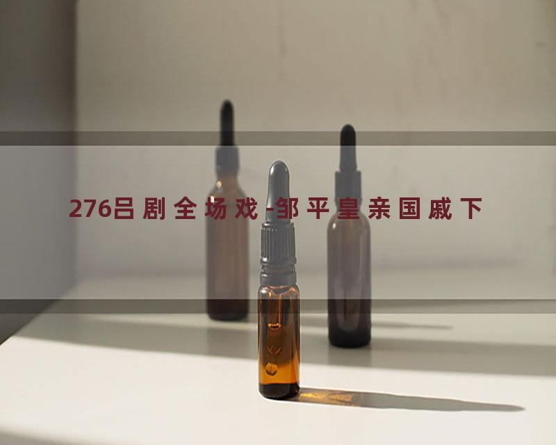 276吕剧全场戏-邹平皇亲国戚下