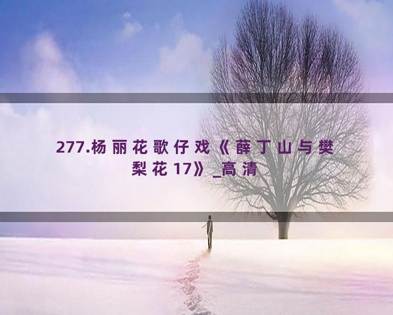 277.杨丽花歌仔戏《薛丁山与樊梨花17》_高清