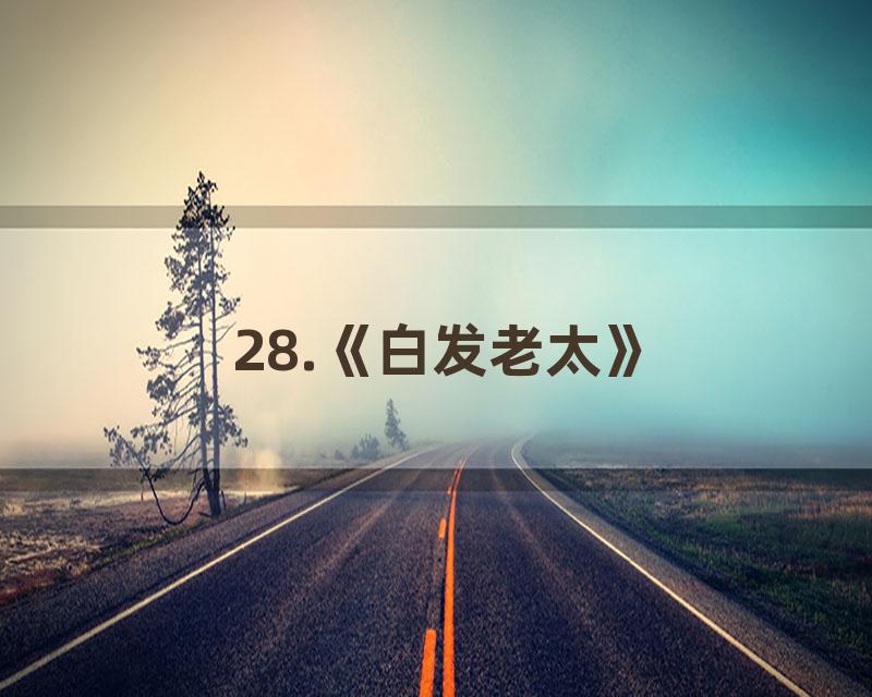 28.《白发老太》