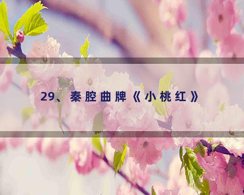 29、秦腔曲牌《小桃红》