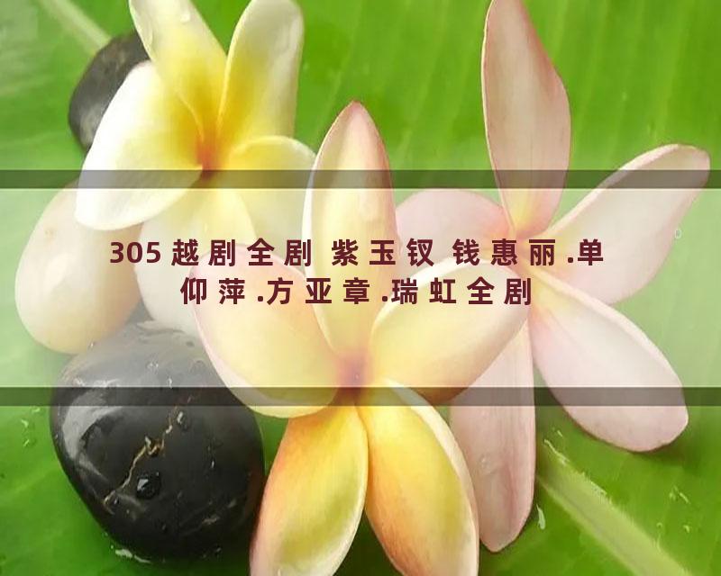 305 越剧全剧 紫玉钗 钱惠丽.单仰萍.方亚章.瑞虹全剧