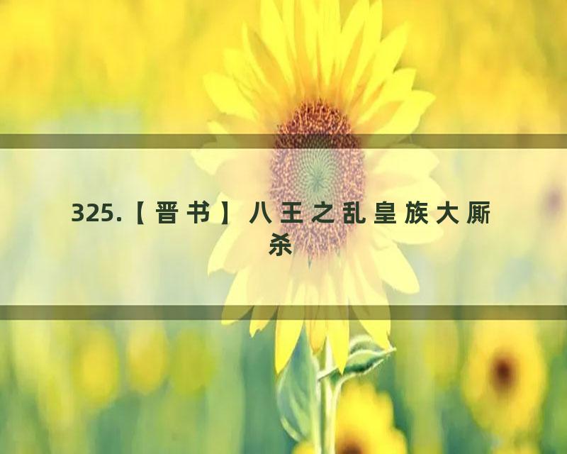 325.【晋书】八王之乱皇族大厮杀