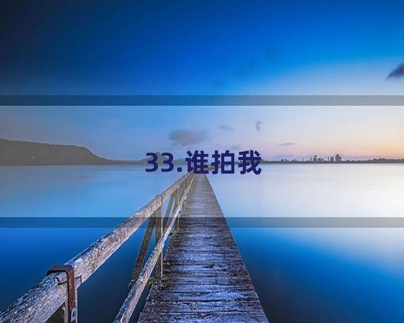 33.谁拍我