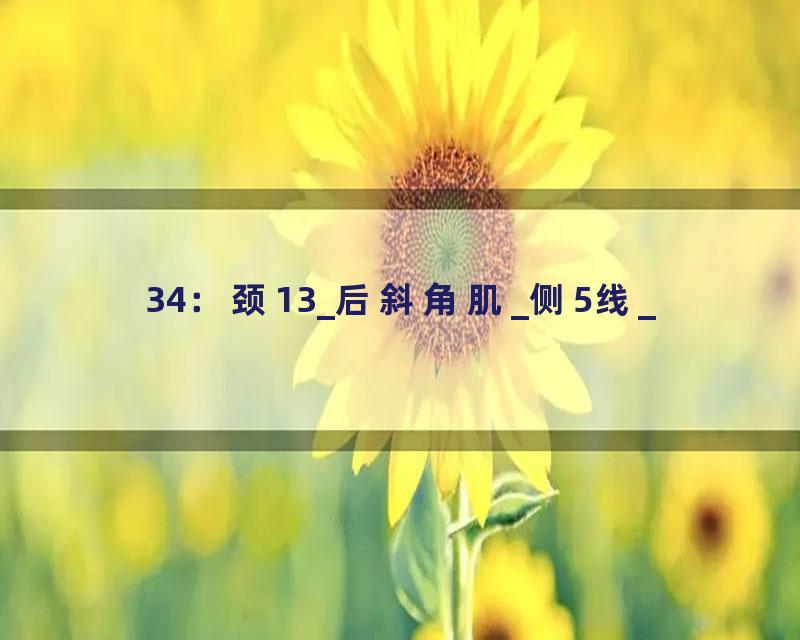 34：颈13_后斜角肌_侧5线_