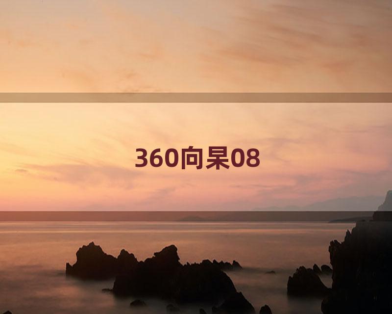 360向杲08