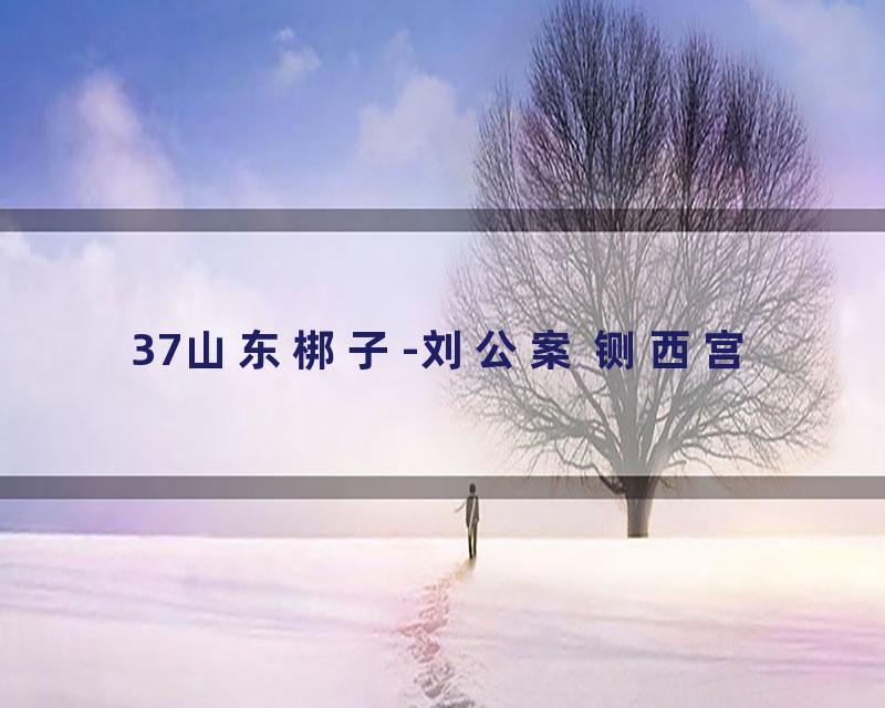 37山东梆子-刘公案 铡西宫