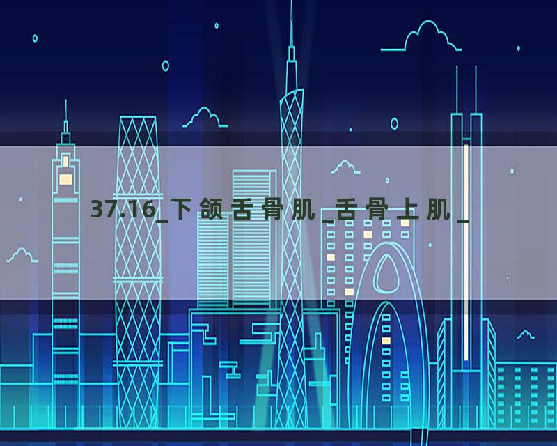 37.16_下颌舌骨肌_舌骨上肌_