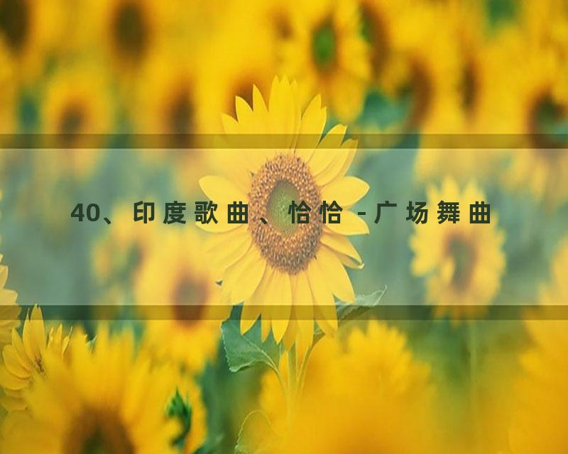 40、印度歌曲、恰恰 - 广场舞曲