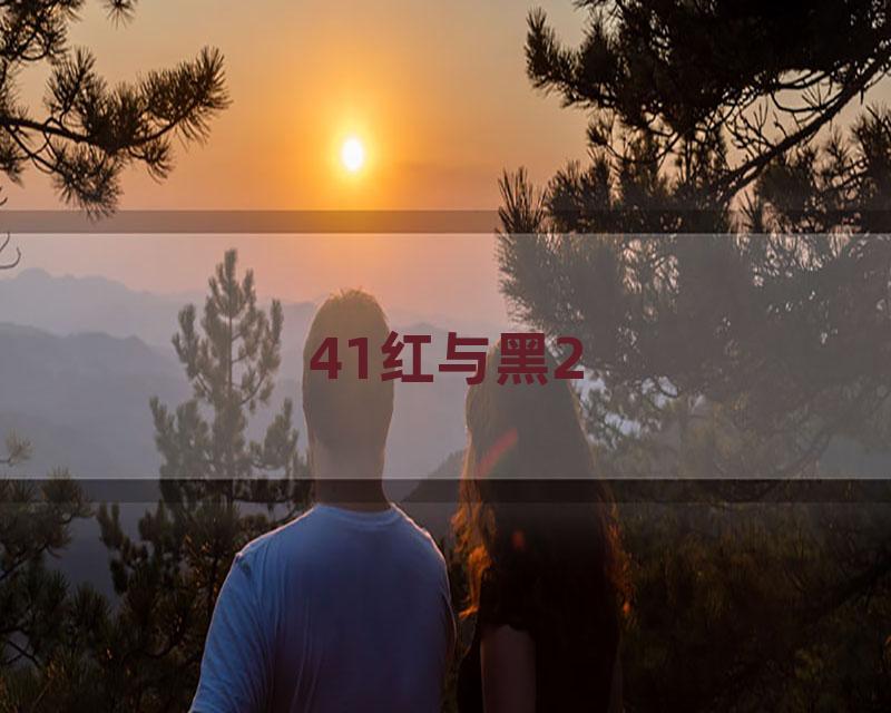 41红与黑2