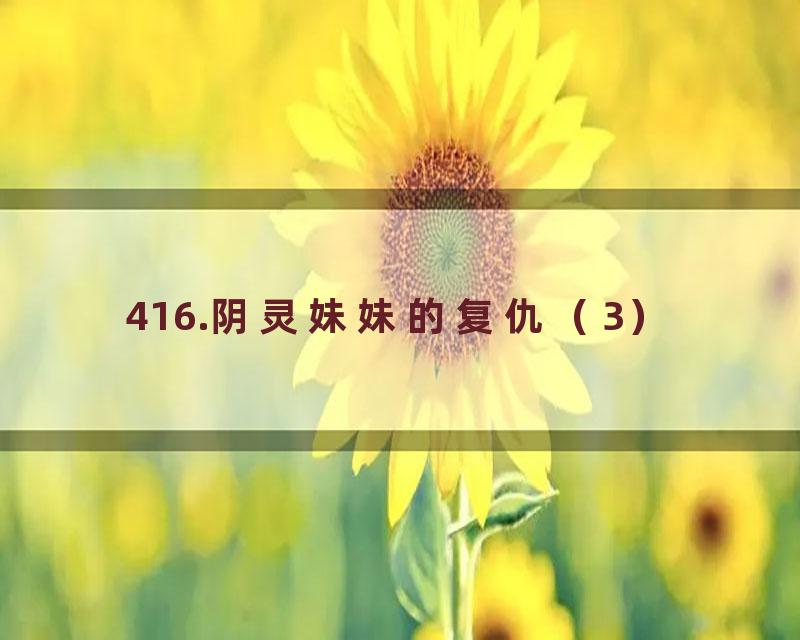 416.阴灵妹妹的复仇（3）