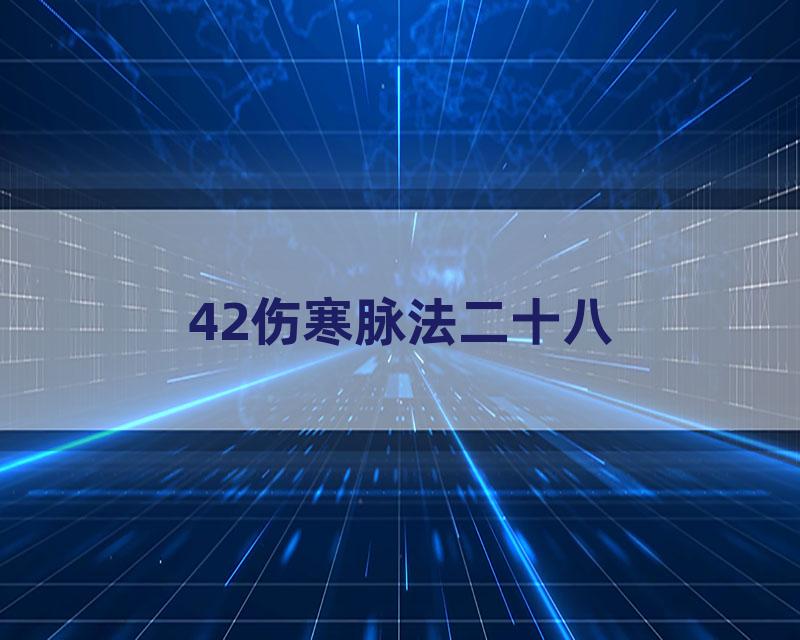 42伤寒脉法二十八