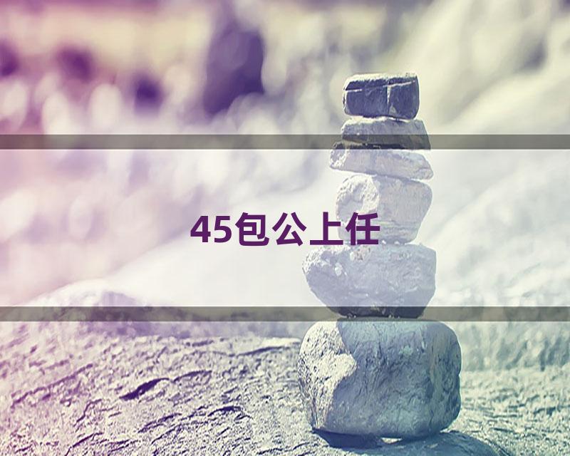 45包公上任