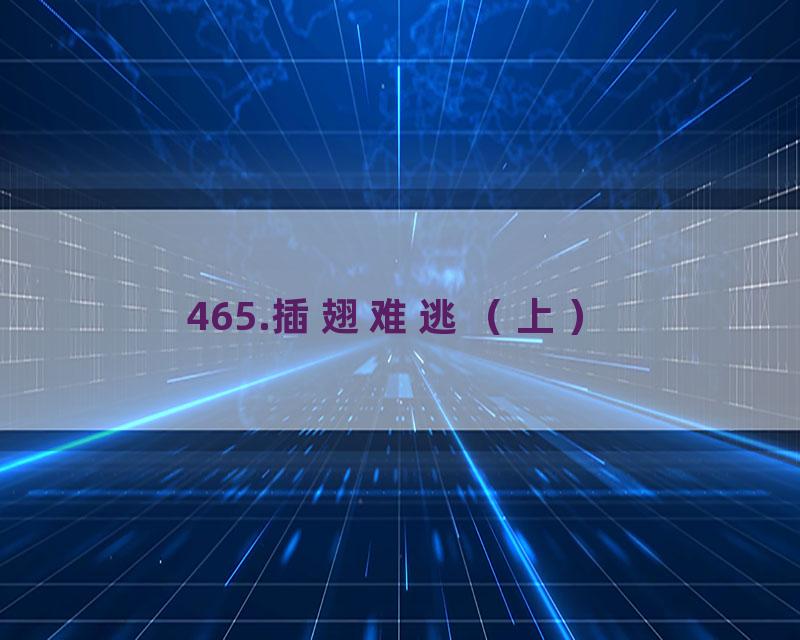 465.插翅难逃（上）