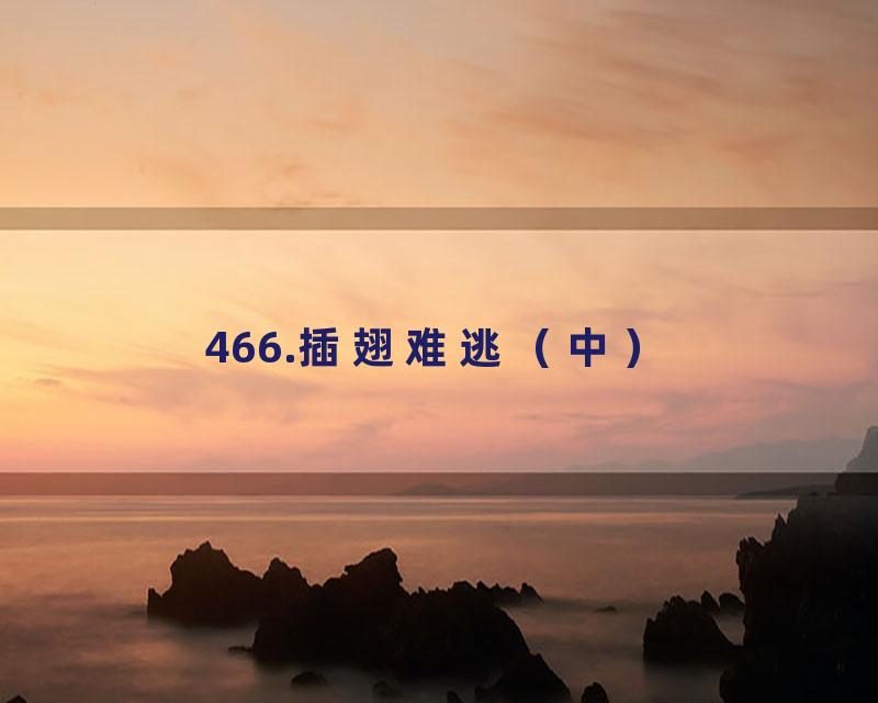 466.插翅难逃（中）