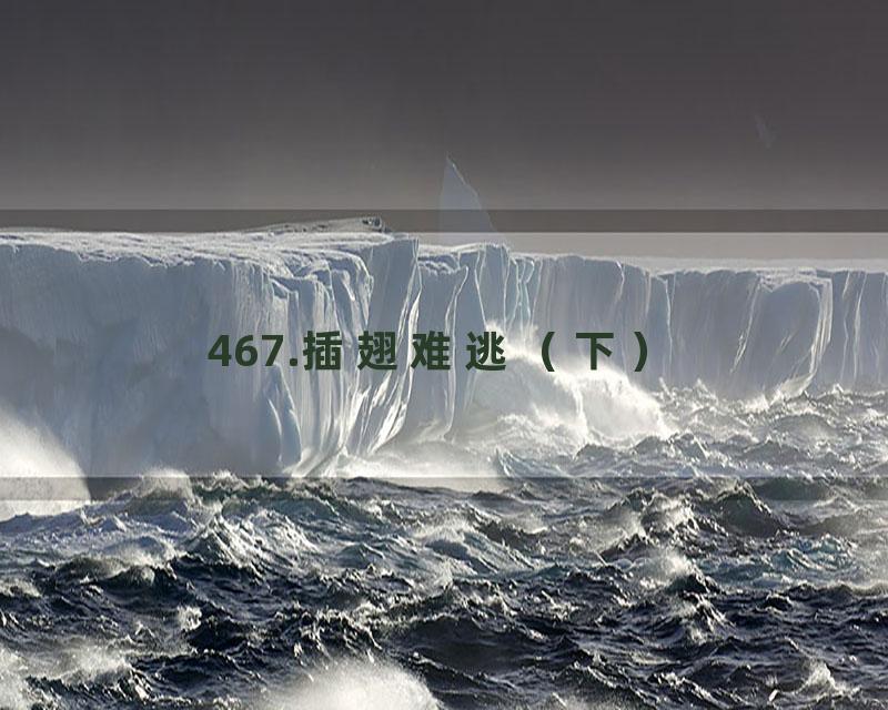 467.插翅难逃（下）