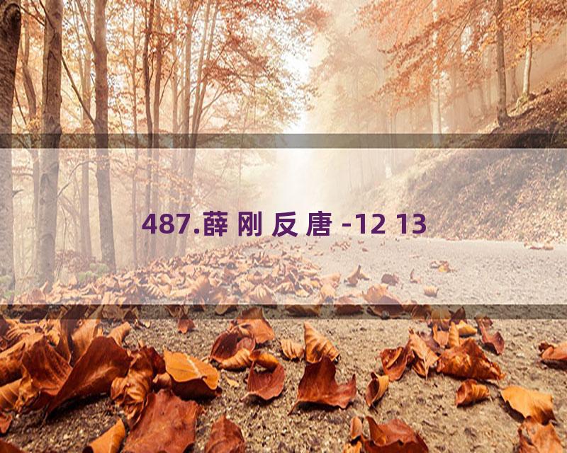 487.薛刚反唐-12 13