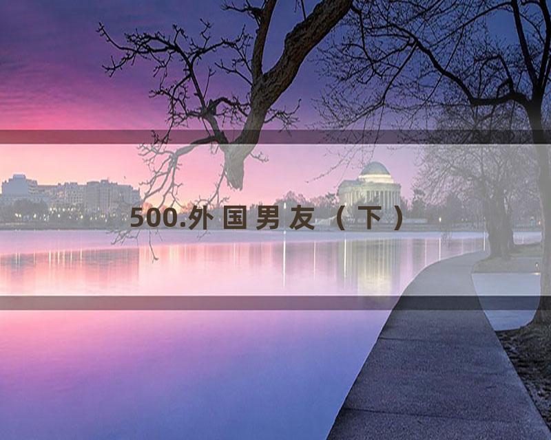 500.外国男友（下）