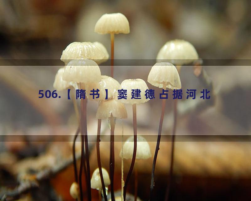 506.【隋书】窦建德占据河北