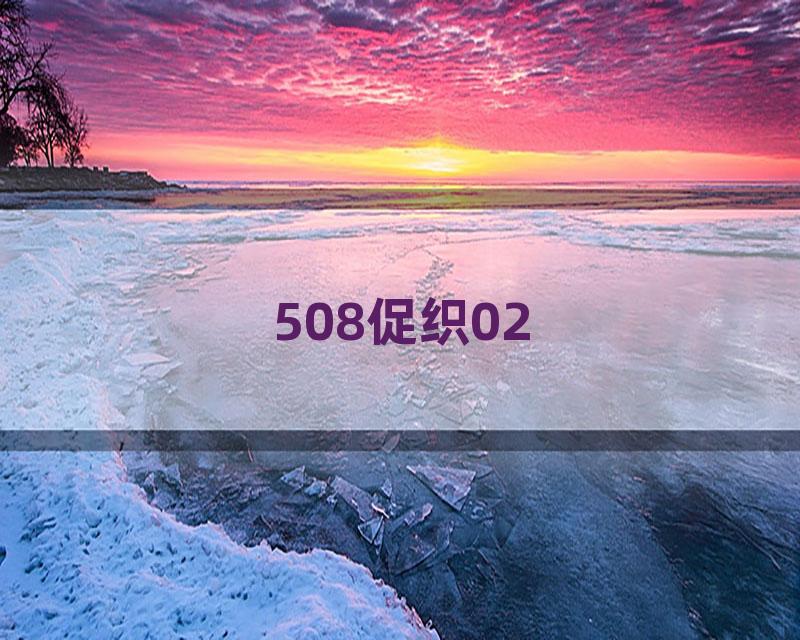 508促织02