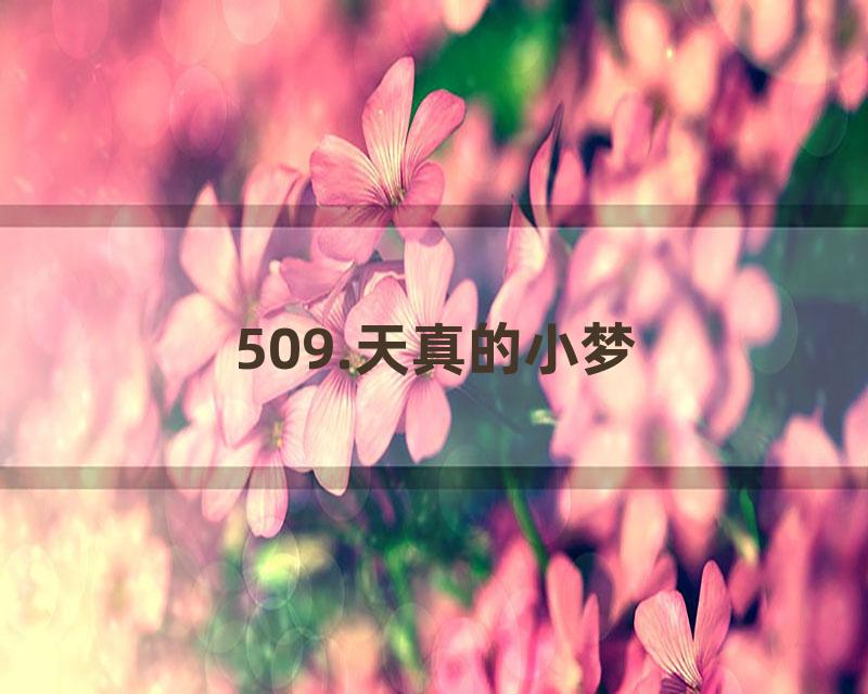 509.天真的小梦