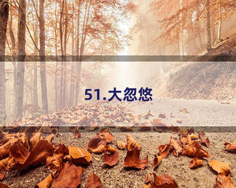 51.大忽悠