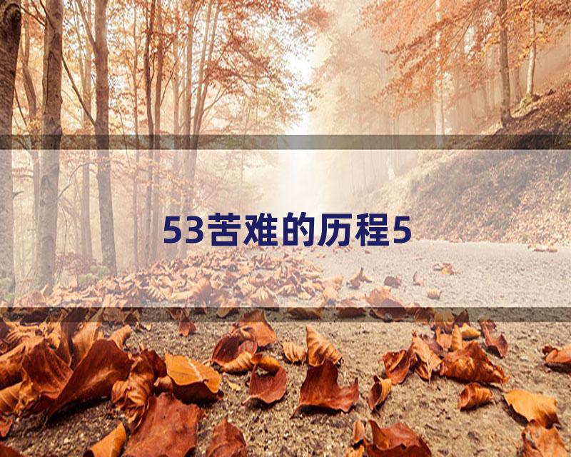 53苦难的历程5