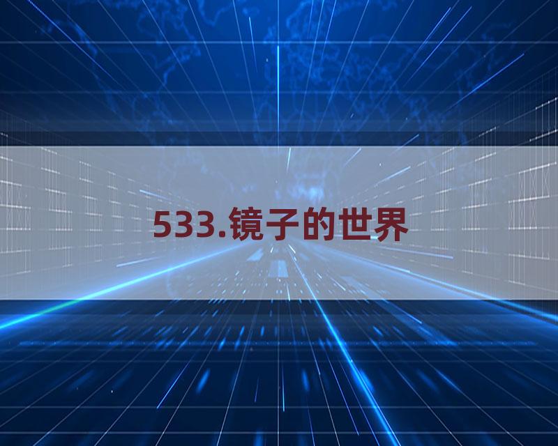 533.镜子的世界